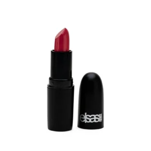 Classic Matte Lip Stick - Berry